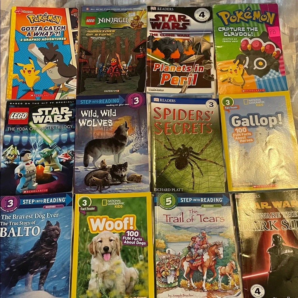 Boys Reader Book Lot: Star Wars, Lego, Pokémon, Animals, History Levels 3,4,5